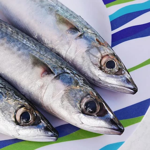 Скумбрия