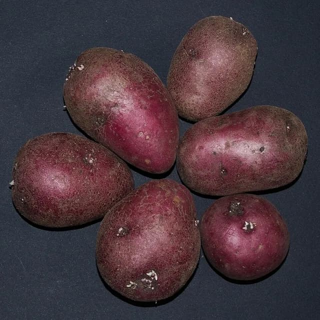 Картофель