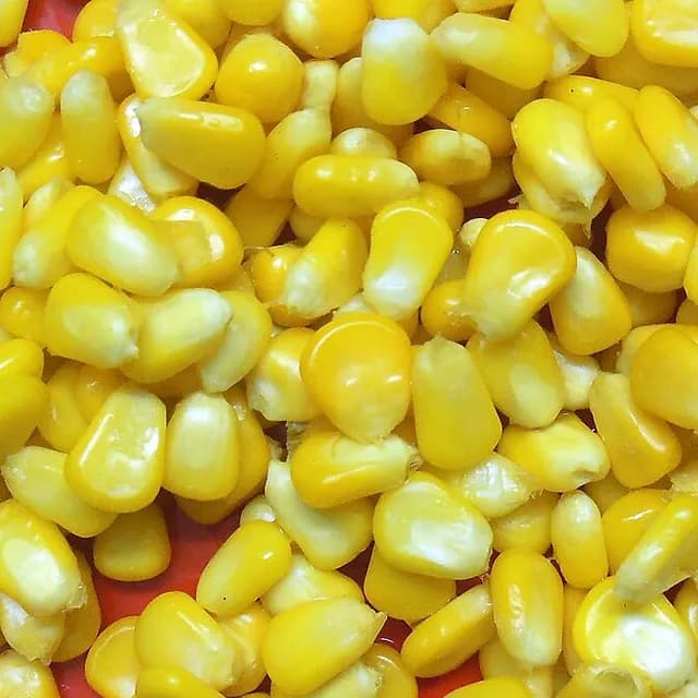 Кукуруза сладкая